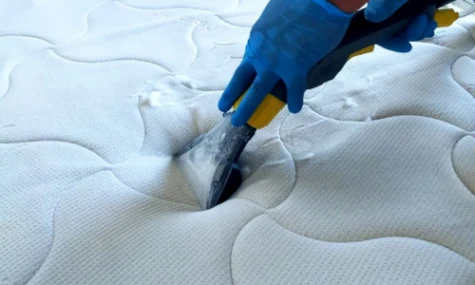 Home Care Cleaning Home 8